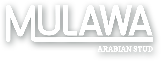 Mulawa Arabian Stud